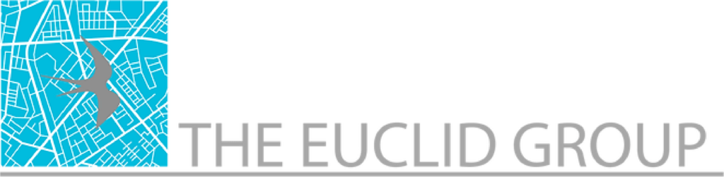 The Euclid Group